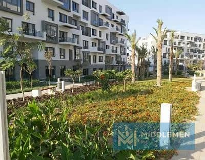 7 67441095-800x600. jfif. jpg