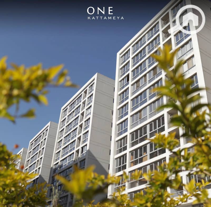 11 وان قطاميه . jpg