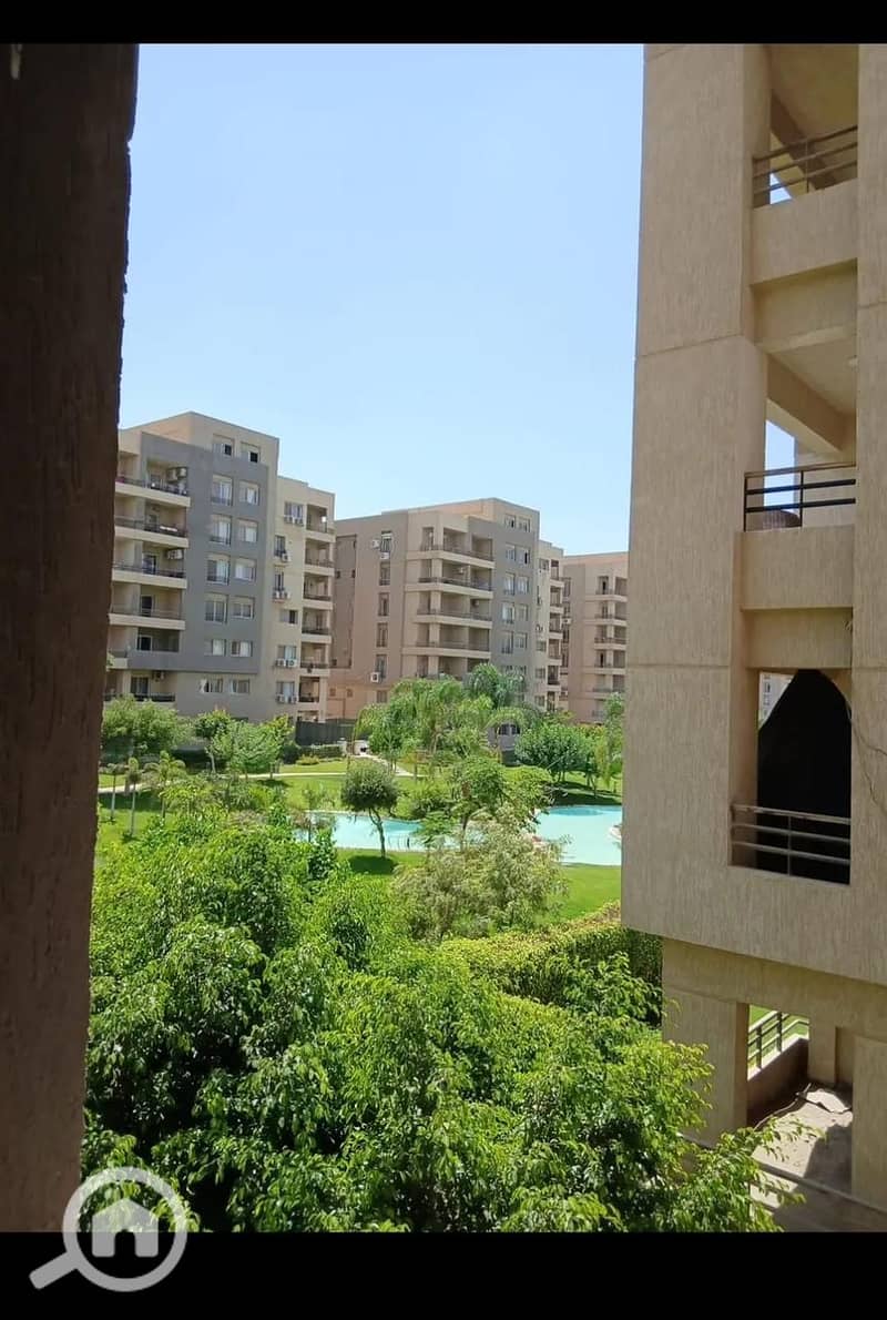 5 8a80c4ce-867b-4c9f-90d8-32094ab2e25b. jpg