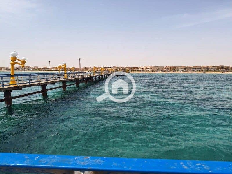 4 WhatsApp Image 2025-03-08 at 12.51. 59 PM. jpeg