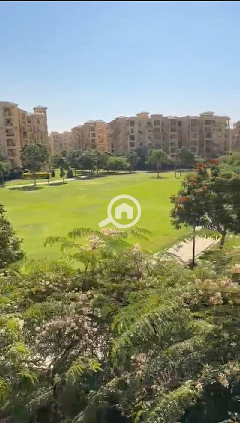 5 1b162d1d-eda9-4479-8c34-b8c8a0c270e6. jpeg