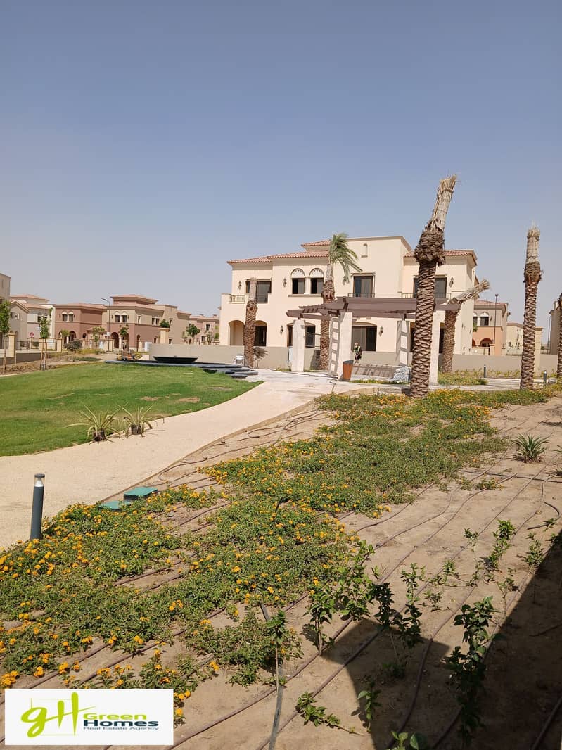 8 20250622_153930. jpg