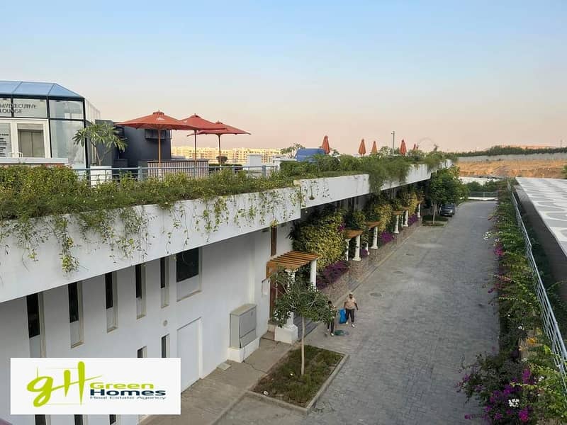 7 FB_IMG_1691917775487. jpg