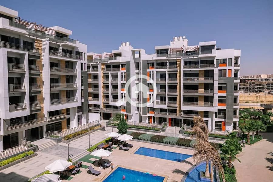 10 scsdgsdsdvdsg. jpeg