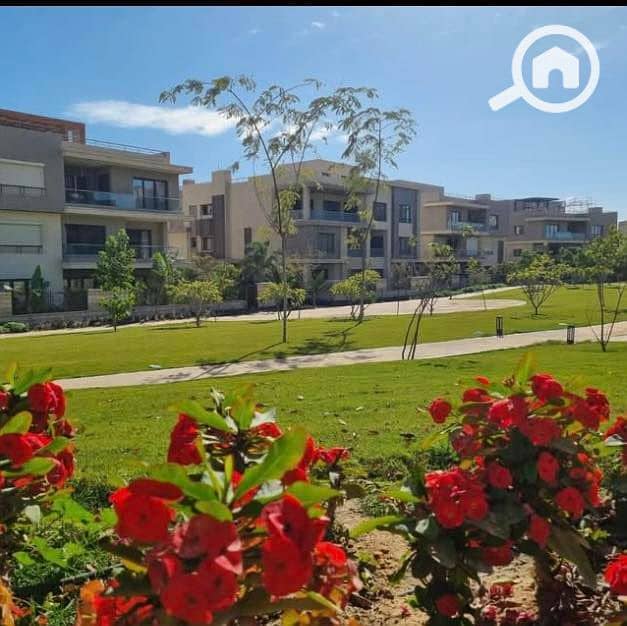 7 480577064_1009194244564296_4605761878515379765_n. jpg