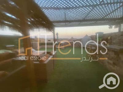 3 Bedroom Apartment for Sale in New Cairo, Cairo - WhatsApp Image 2025-11-16 at 3.15. 38 PM. jpg