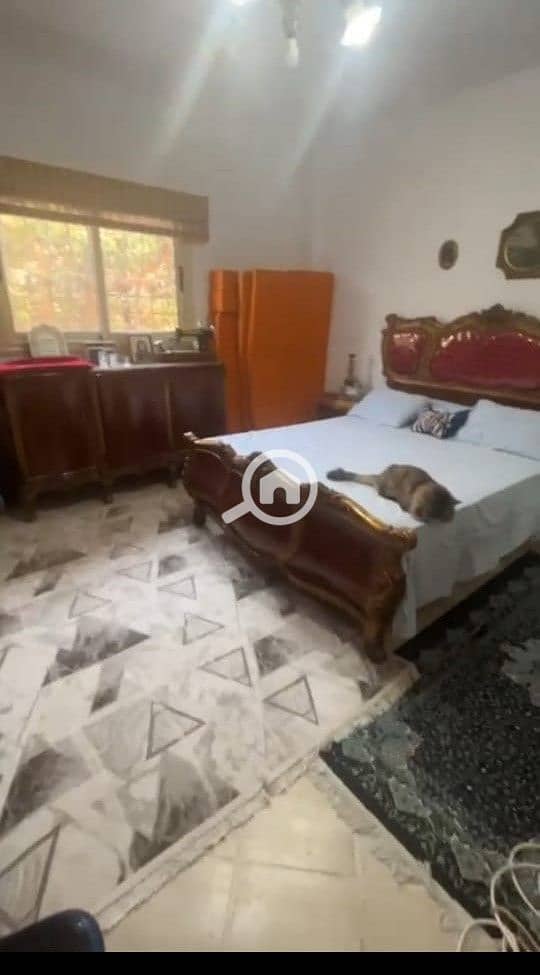 7 WhatsApp Image 2025-11-17 at 13.55. 40_66769b01. jpg