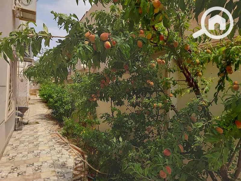 19 5c575e4e-edd4-4064-b448-fcd0b1199b54. jpg