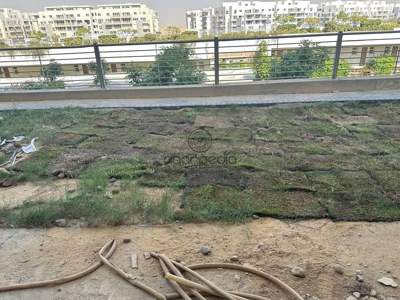 2 WhatsApp Image 2025-09-24 at 2.12. 07 PM. jpeg