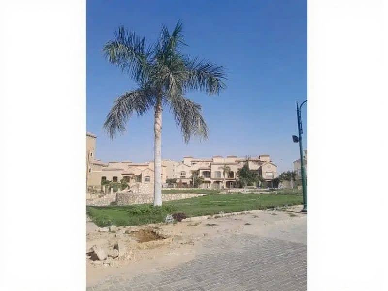 8 88971904-f2e0-4baa-94e6-f4a64f08cb9d. jpg