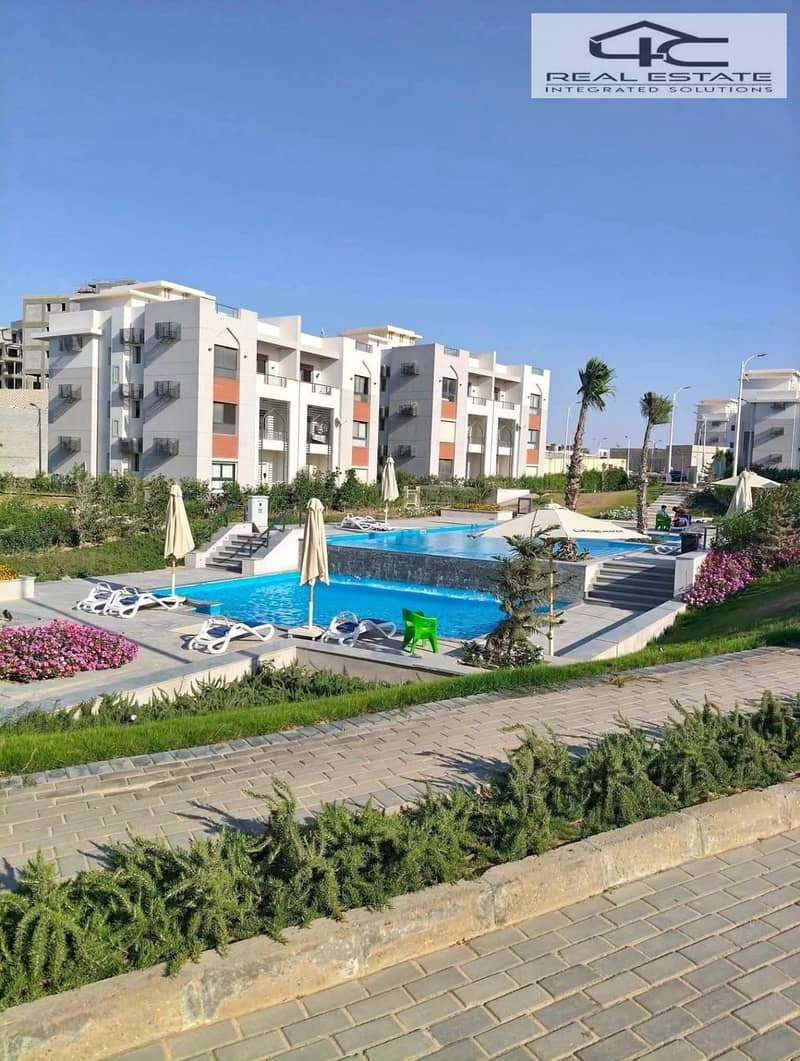 3 WhatsApp Image 2025-11-17 at 4.22. 54 AM. jpeg