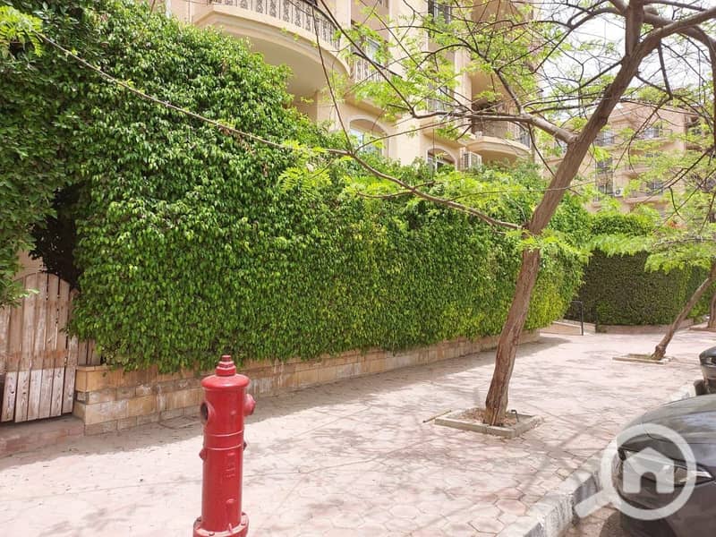 9 ecd4275c-d354-40a8-869d-1c8aebdc4b7b. jpeg