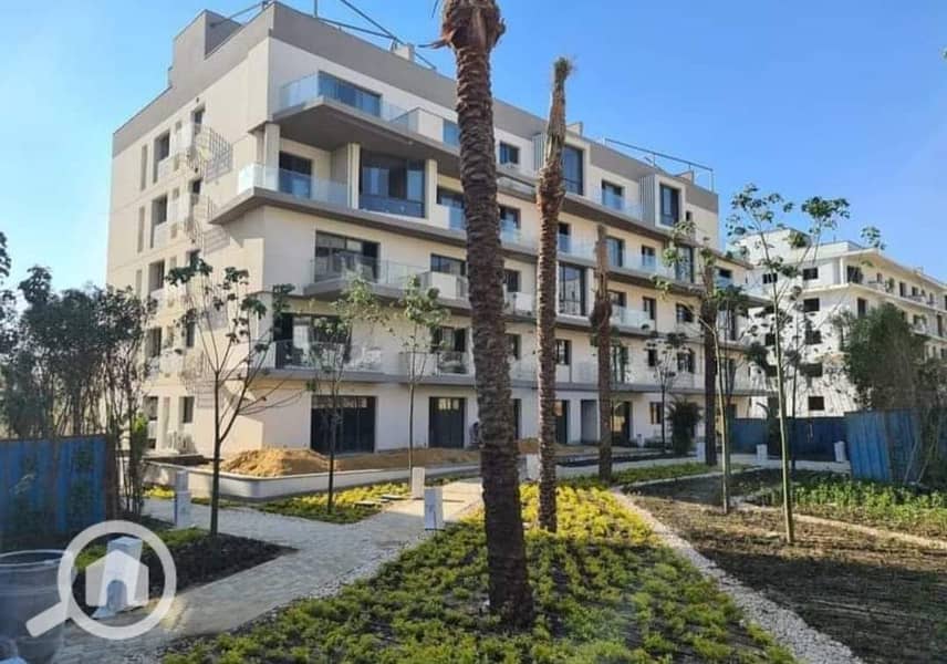 4 45bf7b38-536c-4609-a6b4-8dd6ad005310. jpg