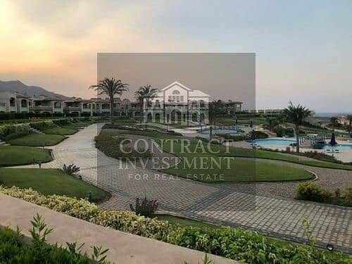 4 WhatsApp Image 2025-11-17 at 2.23. 30 PM (1). jpeg