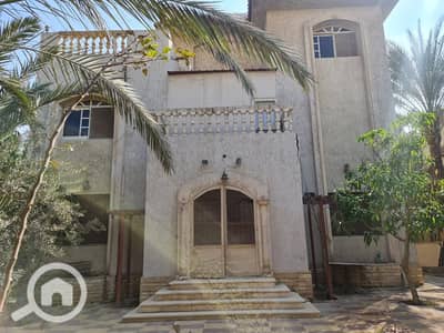 4 Bedroom Villa for Sale in 6th of October, Giza - WhatsApp Image 2025-11-17 at 14.01. 30_7e6d2ba5. jpg 4 Bedroom Villa for Sale in 6th of October, Giza - WhatsApp Image 2025-11-17 at 14.01. 30_7e6d2ba5. jpg