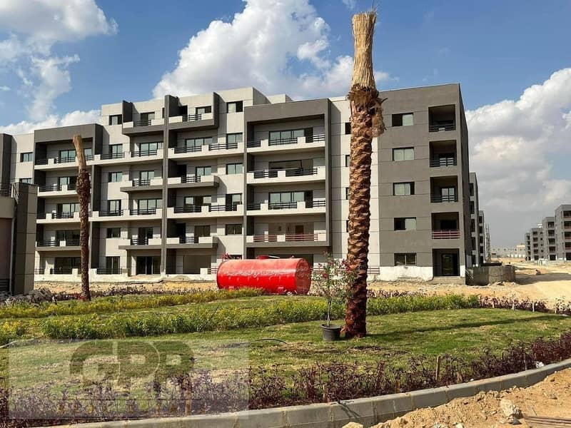 11 482327591_1186136593130171_3657068605722915704_n. jpg