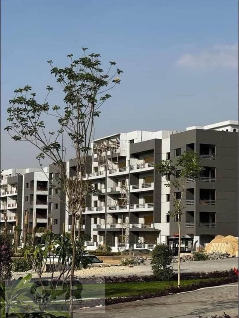 12 482826574_1186136496463514_1709208487485370169_n. jpg