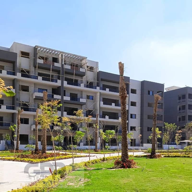 14 484078287_1186136879796809_7655338366628572388_n. jpg