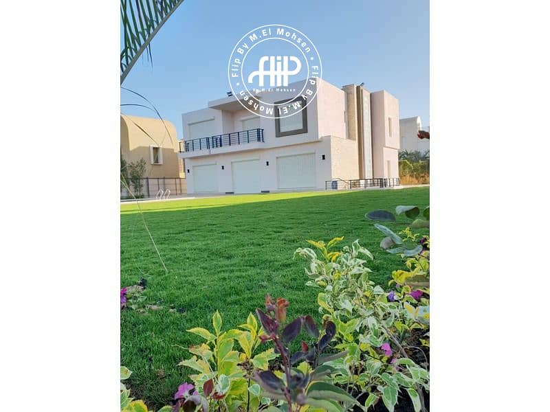 2 IMG-20250217-WA0036. jpg