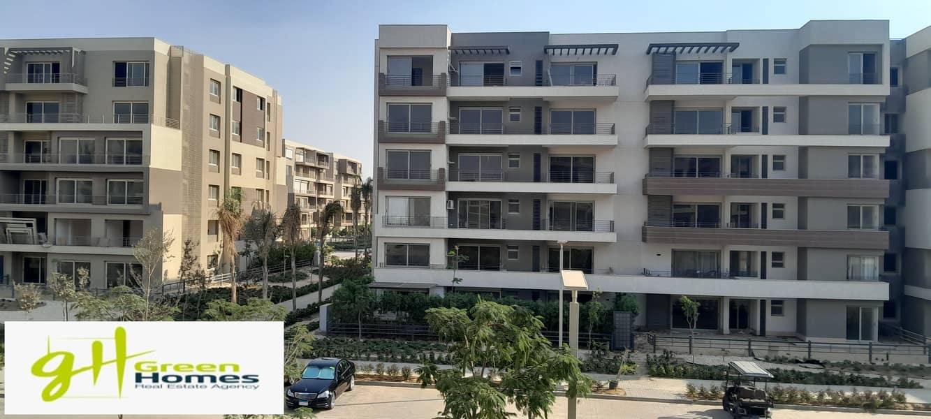 11 20250923_161058. jpg