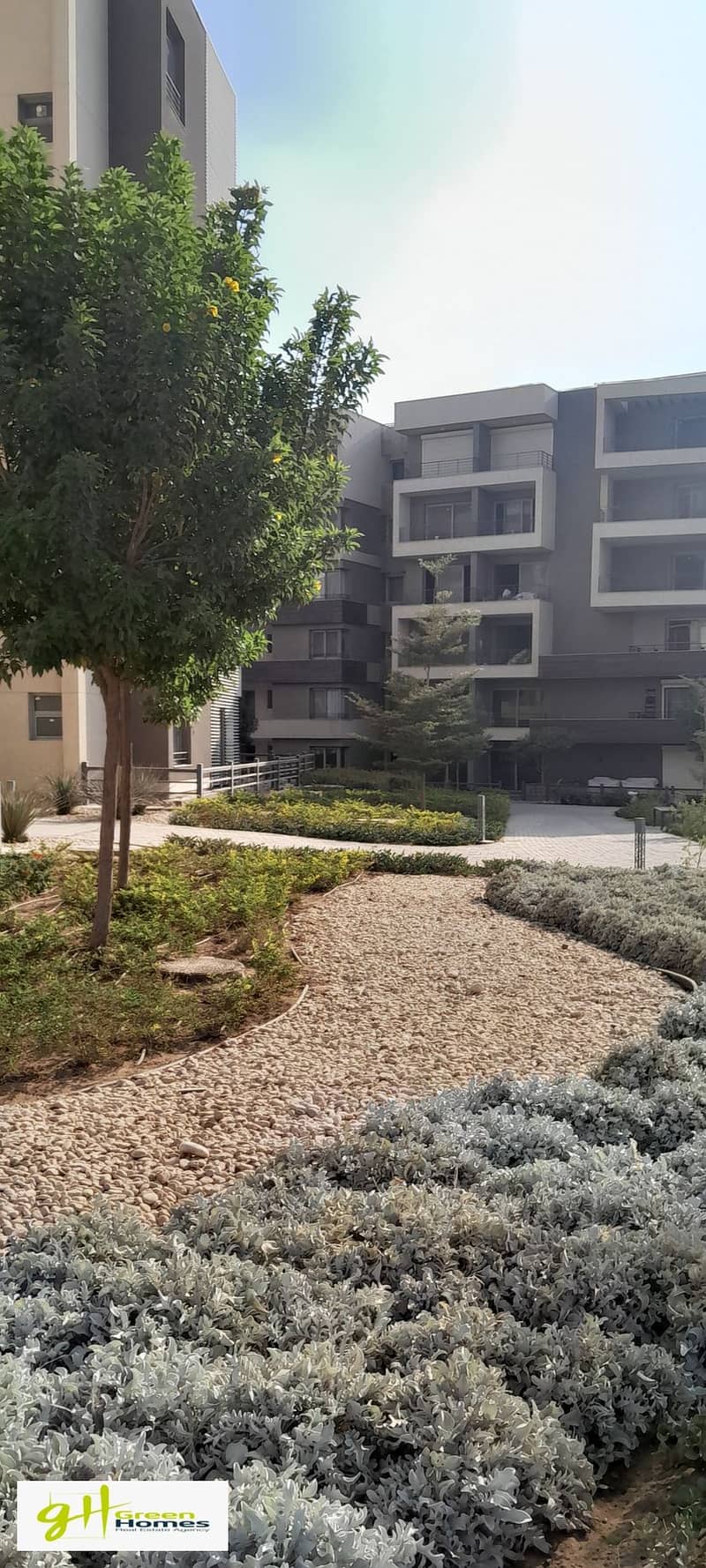 12 20250923_163521. jpg