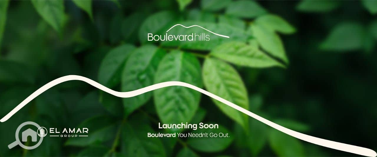 7 WhatsApp Image 2025-11-17 at 14.17. 29_7b5cb0e1. jpg