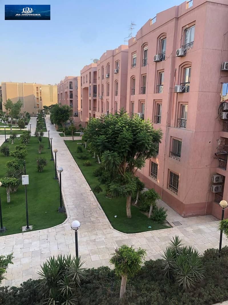 12 صورة واتساب بتاريخ 1447-05-26 في 14.46. 24_7a028d9a. jpg