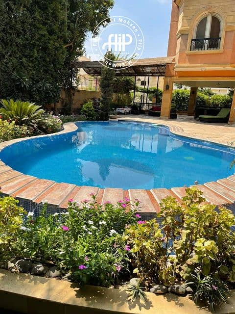 13 IMG-20251112-WA0042. png