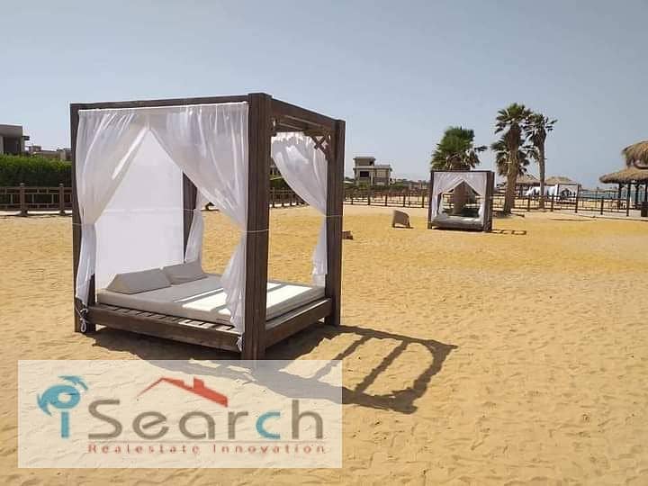 4 WhatsApp Image 2025-11-17 at 11.59. 48_b0e703b9. jpg