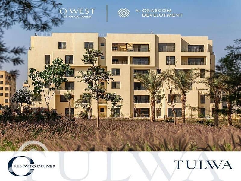 11 IMG-20250320-WA0117. jpg