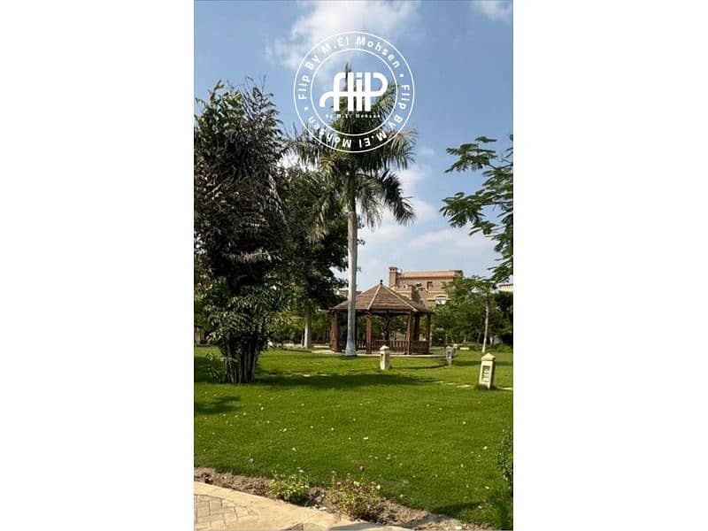 4 WhatsApp Image 2024-07-31 at 22.56. 26_939c75f4. jpg