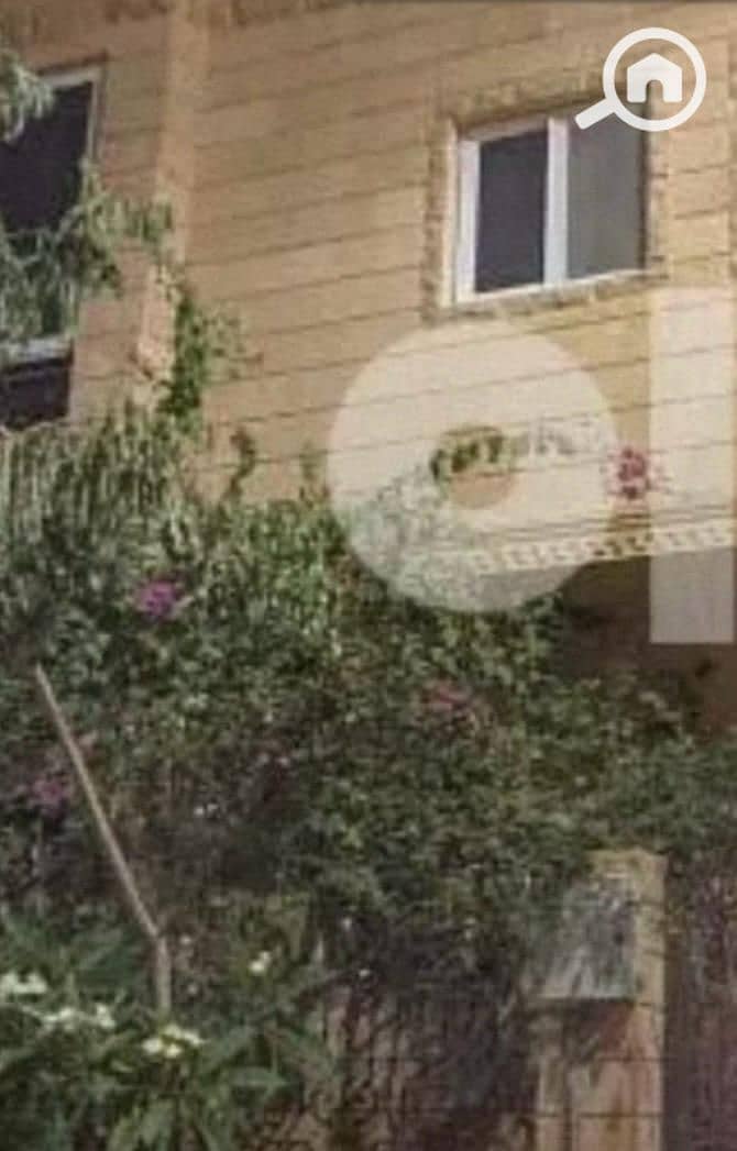 2 WhatsApp Image 2025-11-17 at 14.29. 15_90f25117. jpg