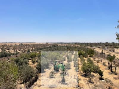 Commercial Land for Sale in Sheikh Zayed, Giza - 029338d5-1a1e-4346-9c21-081708a27574. jpg