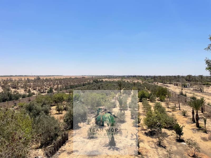 029338d5-1a1e-4346-9c21-081708a27574. jpg 029338d5-1a1e-4346-9c21-081708a27574. jpg