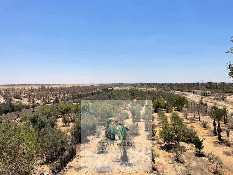 2 e4625bc0-eae5-44d6-b50e-6f6f5e567100. jpg