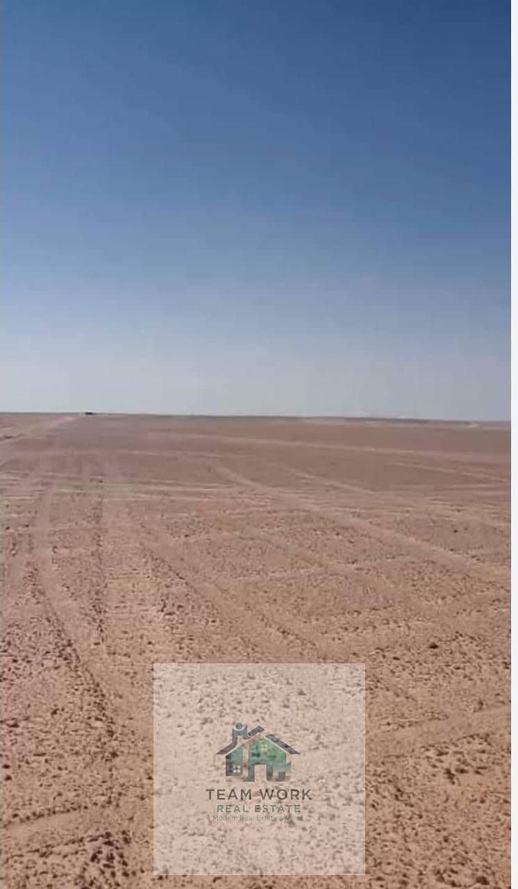 3 3ae4130b-8d4f-4000-bfc8-807baaad43b3. jpg