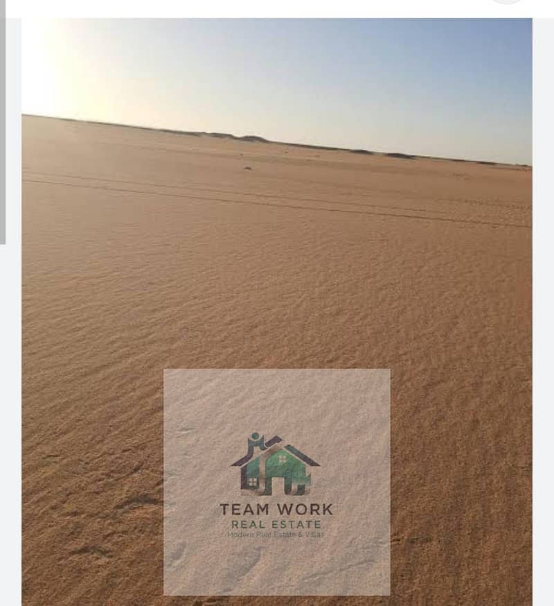 5 6d67df5d-9af0-4836-8b6f-34c62e20b61a. jpg