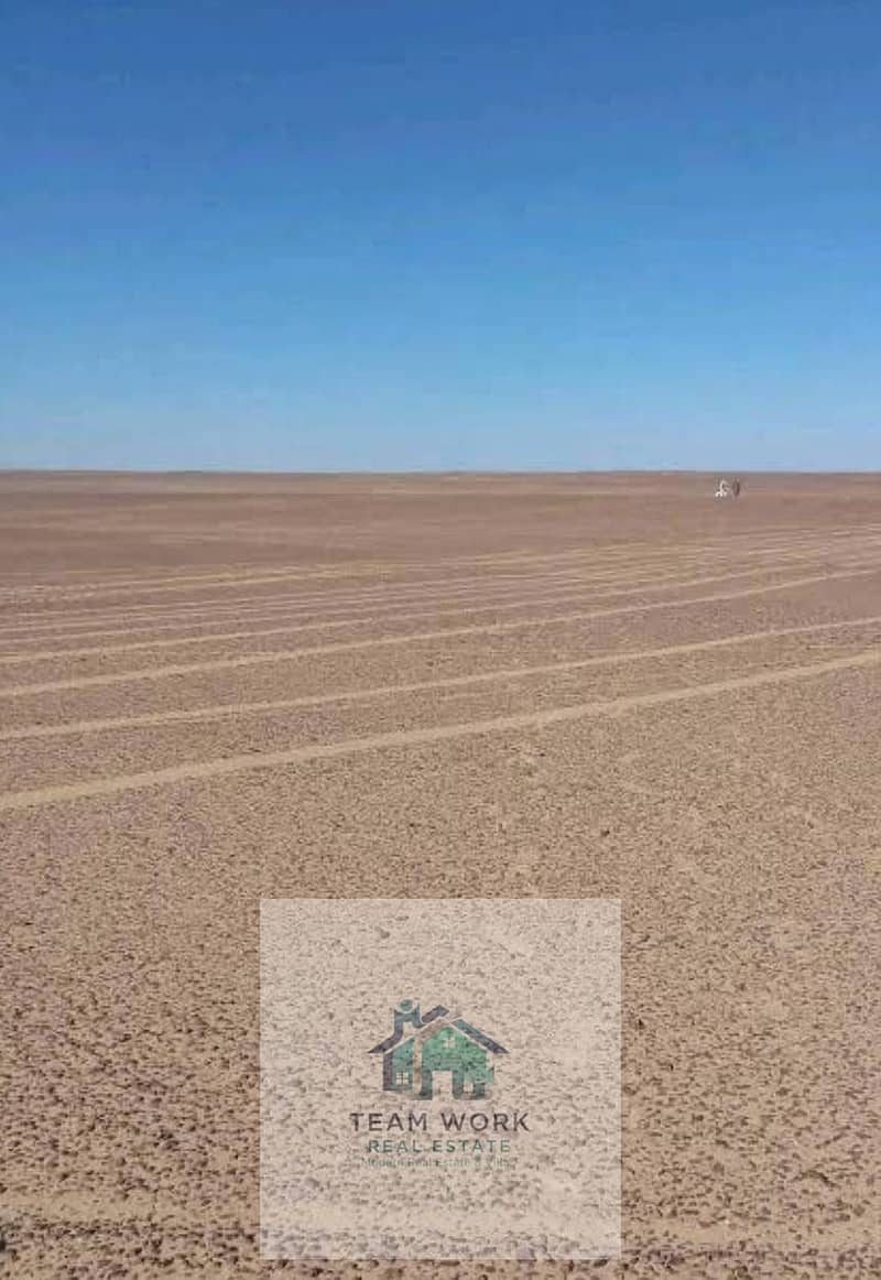 6 35fa4363-3752-41e1-85df-0bcd5efb9574. jpg