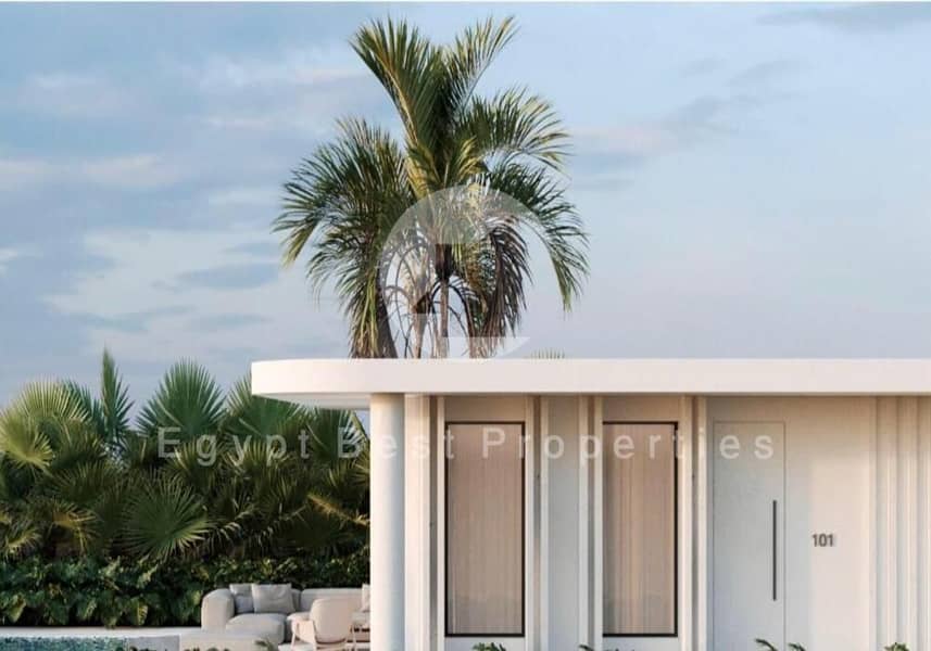 12 WhatsApp Image 2024-03-05 at 14.10. 09_5faaa6b3. jpg