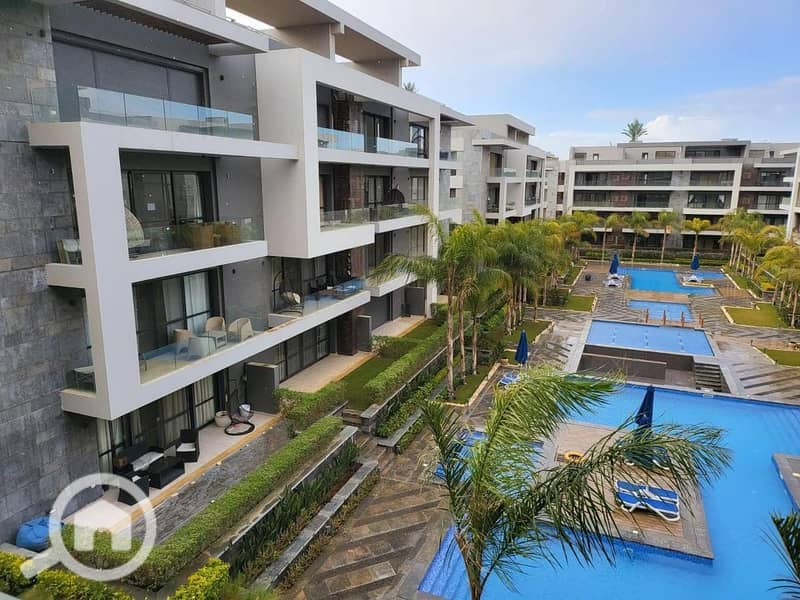 472714023_1521251188511116_5929365080542350292_n. jpg 472714023_1521251188511116_5929365080542350292_n. jpg