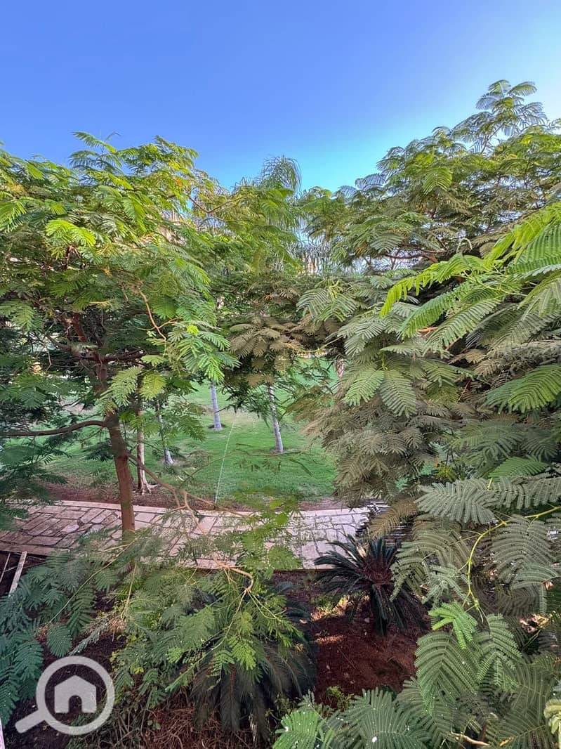 6 f9470271-4f3f-485a-a1b2-6b85e2265adb (1). jpg