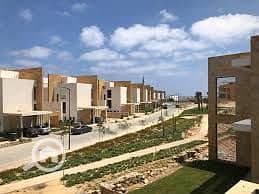 4 WhatsApp Image 2025-11-17 at 15.46. 29_3343a267. jpg