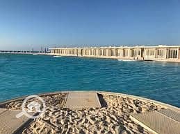 8 WhatsApp Image 2025-11-17 at 15.47. 41_aa070efa. jpg