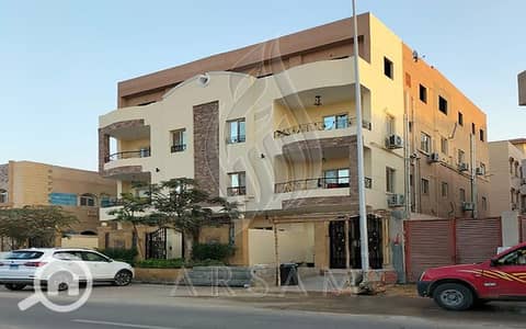 3 Bedroom Flat for Sale in New Cairo, Cairo - WhatsApp Image 2025-11-10 at 2.41. 01 PM (1). JPG 3 Bedroom Flat for Sale in New Cairo, Cairo - WhatsApp Image 2025-11-10 at 2.41. 01 PM (1). JPG