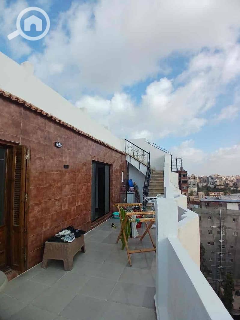 19 a2947384-c0f9-4b3d-8be7-8336b67fe9d5. jpg