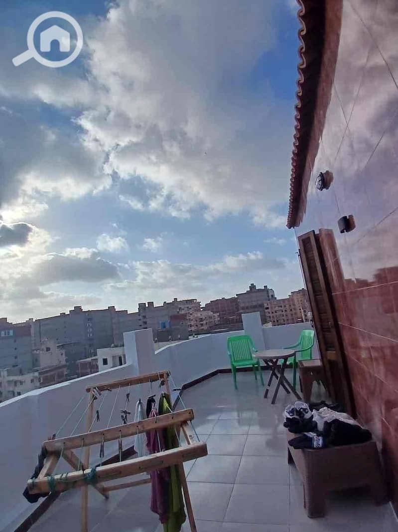 43 9e7774ba-77f9-432c-80a1-e43f283b0f17. jpg