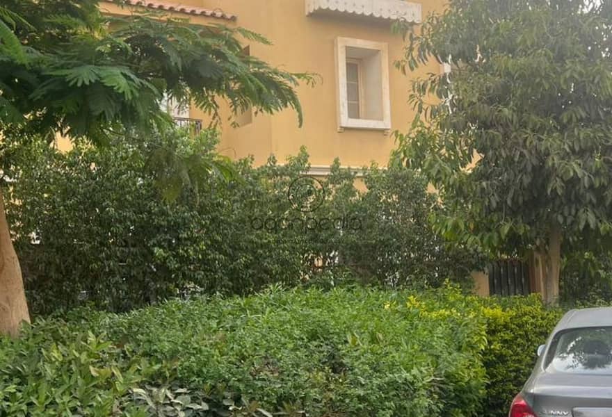 6 f91e17cc-dd28-4d57-a5dc-aad8333f081e. jpg