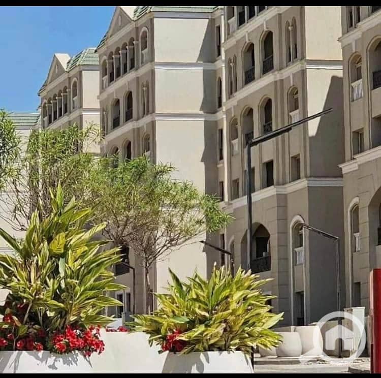 7 493597016_2465746023824414_8828539121769075120_n. jpg