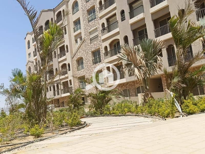 3 579248913_1558640851802360_1293914628209007012_n. jpg