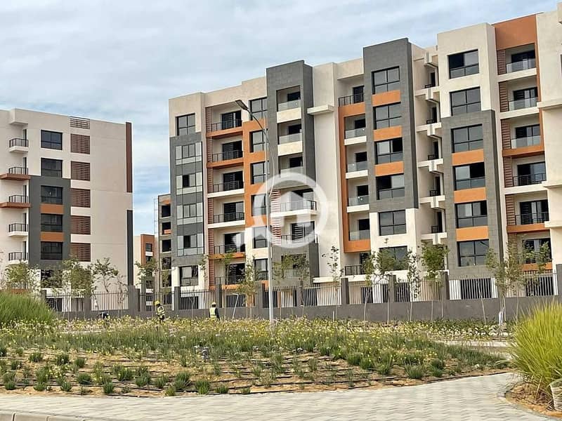 3 IMG-20251117-WA0067. jpg